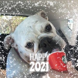 Meet your Posher, Kristin